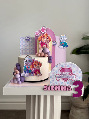 Skye and Everest Theme In A Box