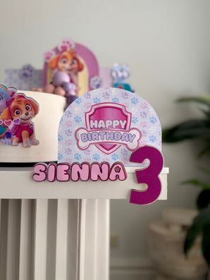 Skye and Everest Theme In A Box