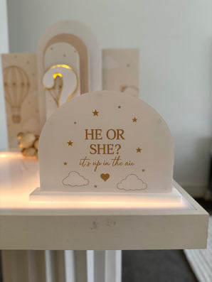 Up In The Air Gender Reveal Starter Bundle
