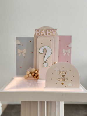 Pink or Blue Gender Reveal Starter Bundle