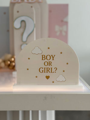 Pink or Blue Gender Reveal Starter Bundle