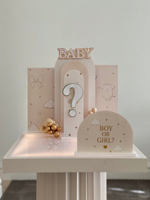 Little One Gender Reveal Starter Bundle