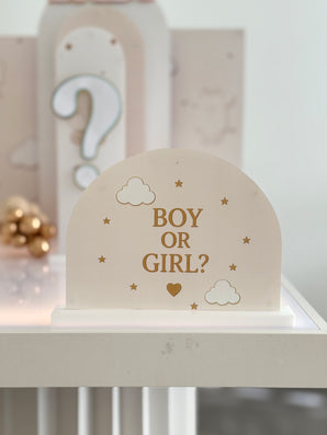 Little One Gender Reveal Starter Bundle