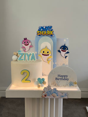 Baby Shark Theme In A Box