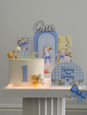 Spring Goose Theme In A Box