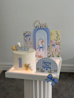 Spring Goose Theme In A Box